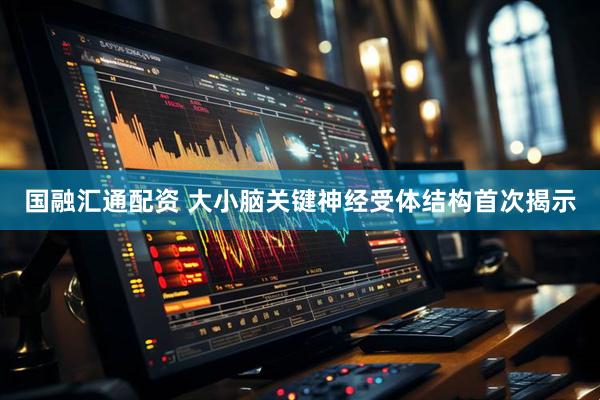 国融汇通配资 大小脑关键神经受体结构首次揭示