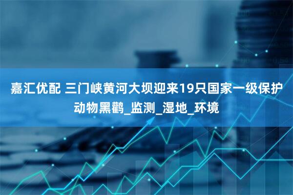 嘉汇优配 三门峡黄河大坝迎来19只国家一级保护动物黑鹳_监测_湿地_环境