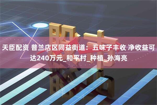天臣配资 普兰店区同益街道：五味子丰收 净收益可达240万元_和平村_种植_孙海亮